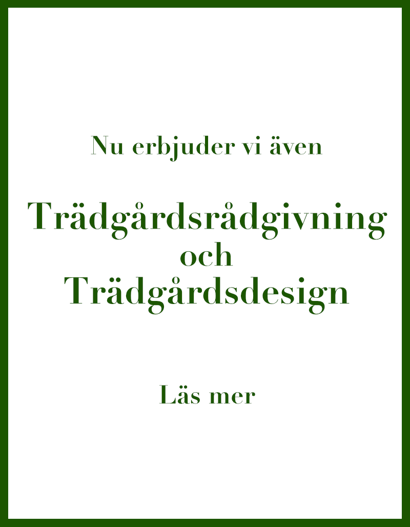 Trädgårdsdesign